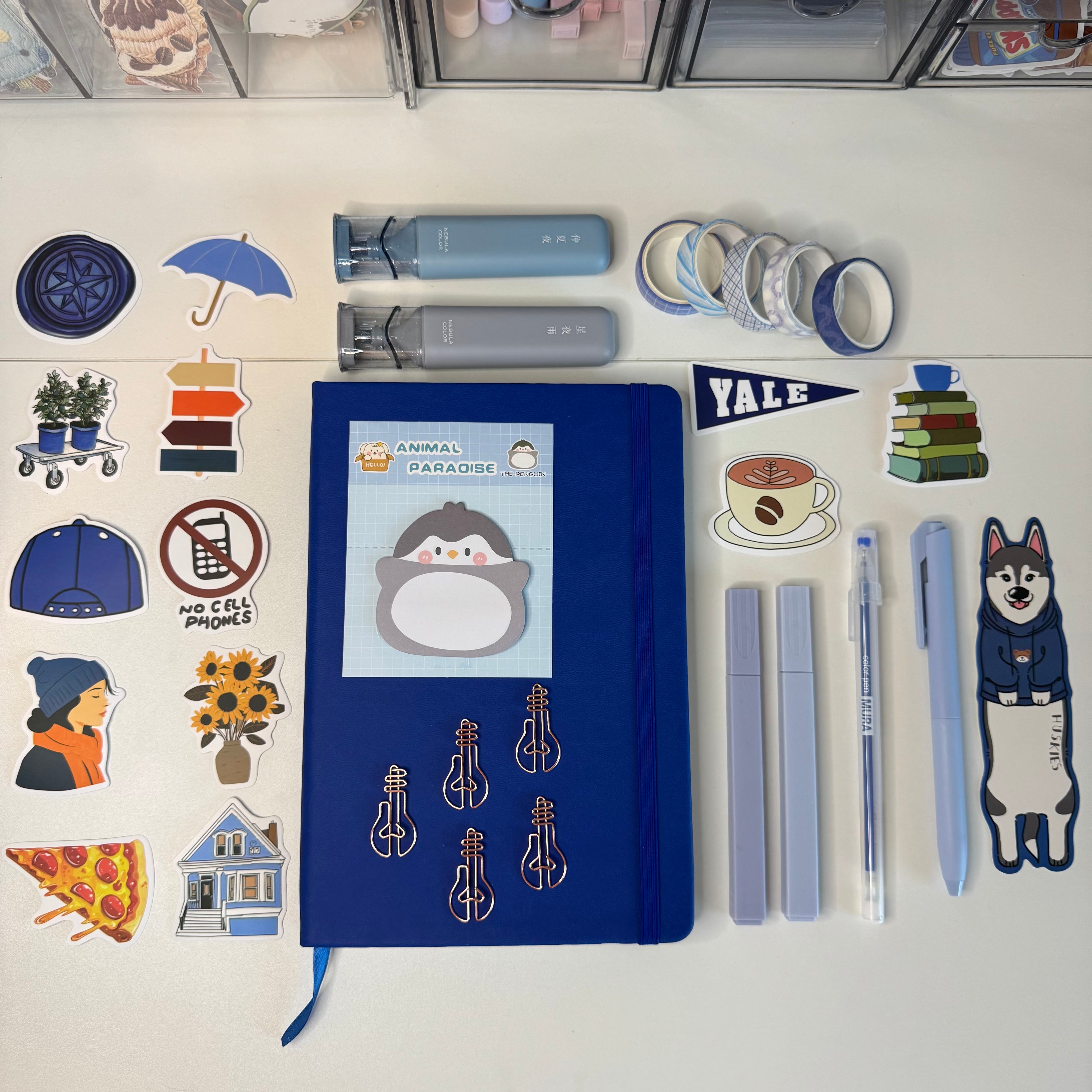 💙Arctic Blue Set💙