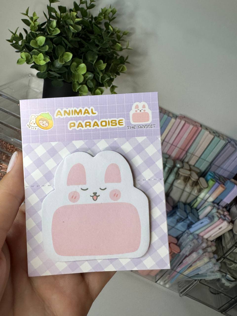 🐰 Sticky Notes "RABBIT" 🐰