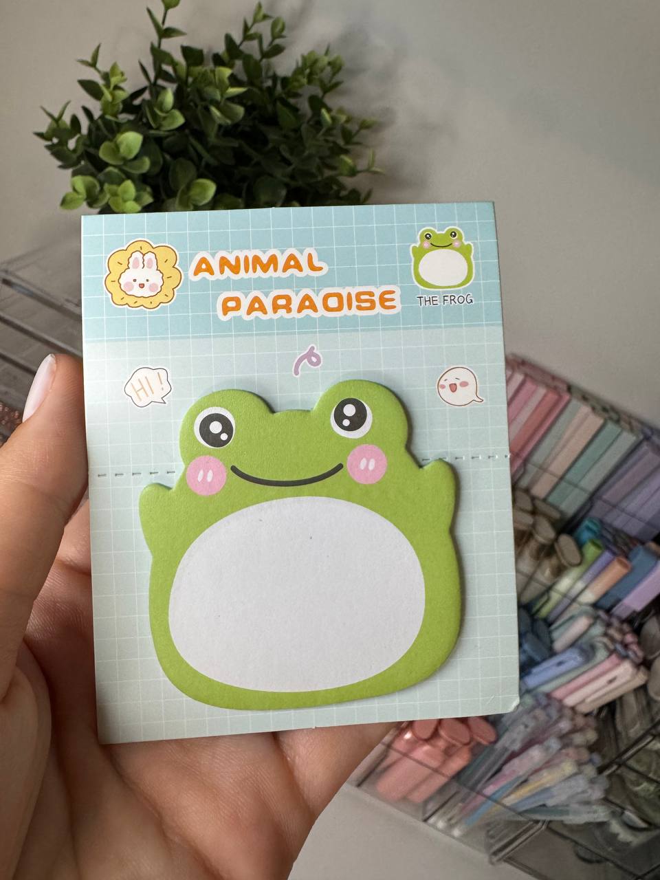 🐸 Sticky Notes "FROG" 🐸