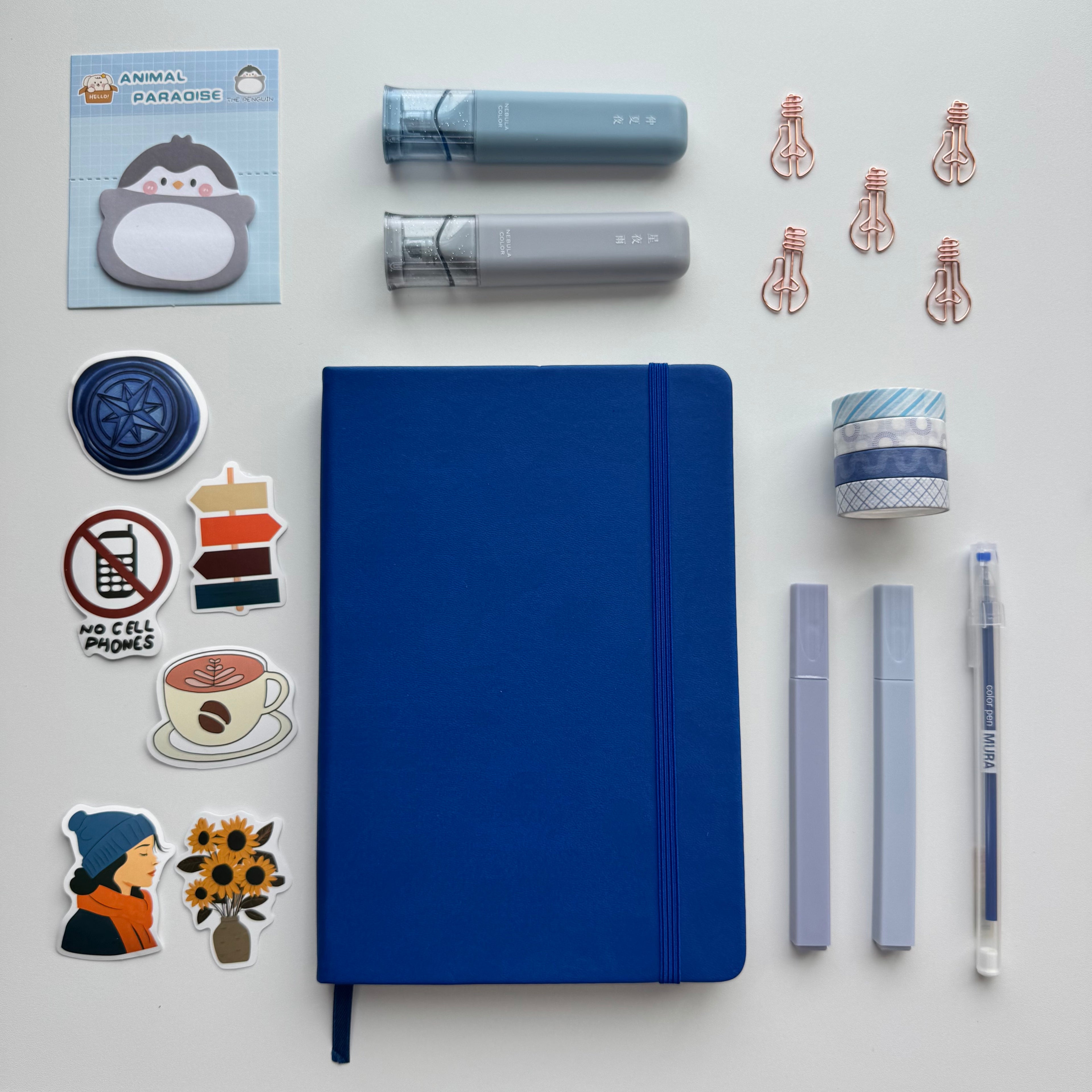 💙Arctic Blue Set💙